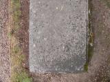 image of grave number 505940
